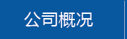 公司概况